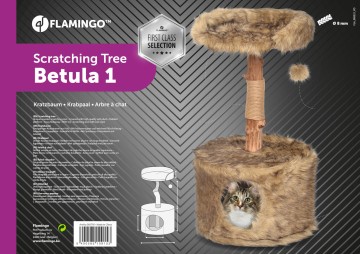 Betula 4