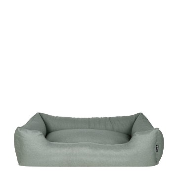 Cactus groen 1