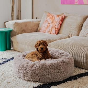 District 70 fuzz 20 zand