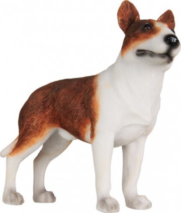 English bull terrier 900834