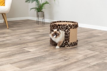 Leo krabgrot bruin 1