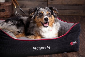 Scruffs thermal box bed black 3