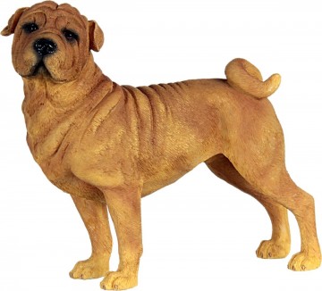Sharpei 900811
